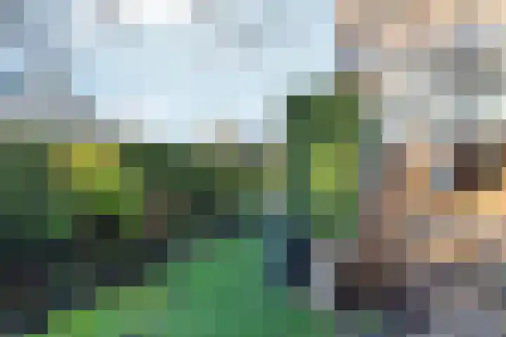 Schaapsdrift 191 Zevenaar thumbnail 38