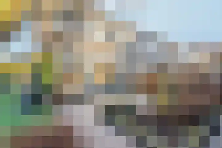 Schaapsdrift 191 Zevenaar thumbnail 39
