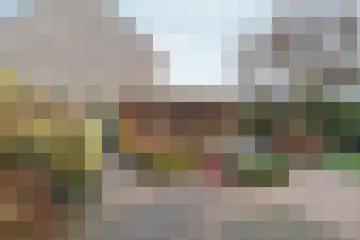 Schaapsdrift 191 Zevenaar thumbnail 40