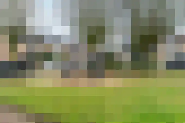 Schaapsdrift 191 Zevenaar thumbnail 42