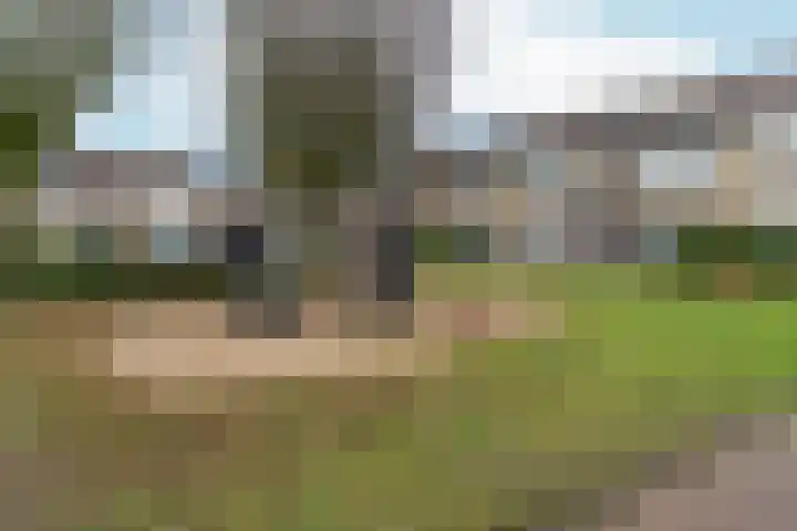 Schaapsdrift 191 Zevenaar thumbnail 43
