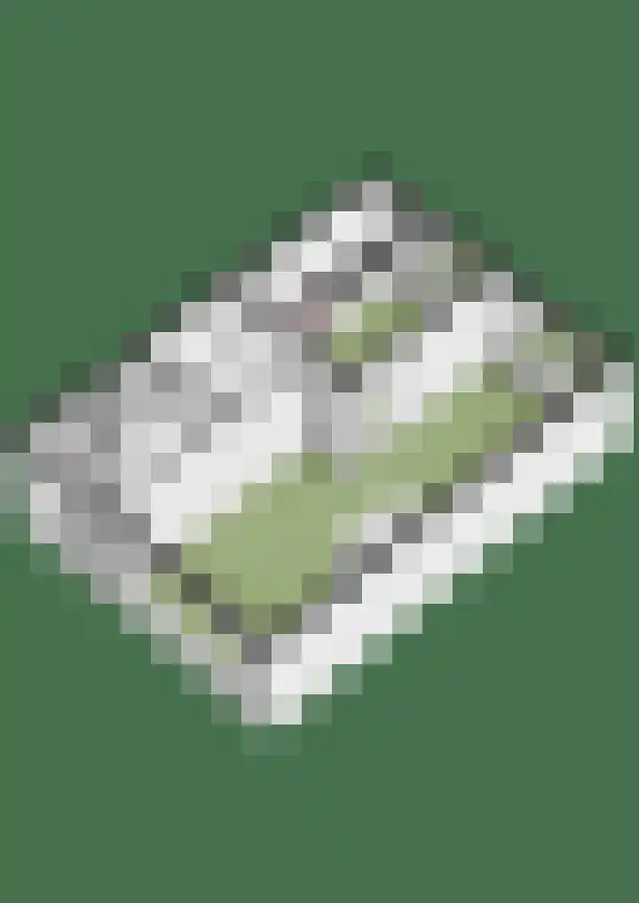 Schaapsdrift 191 Zevenaar thumbnail 46