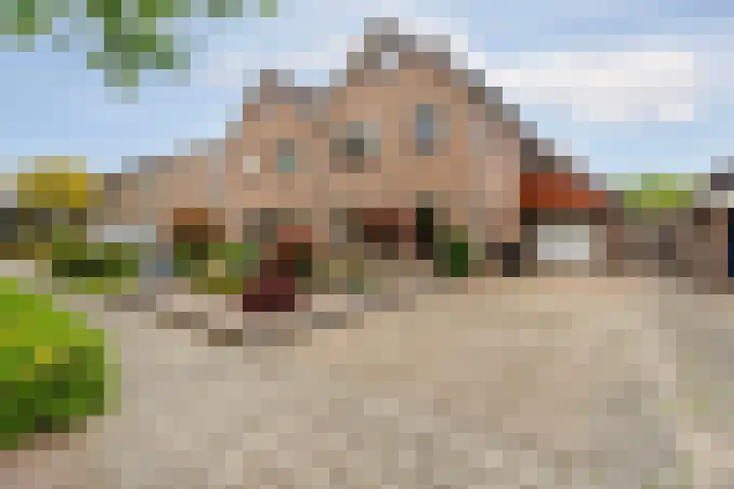 Schaapsdrift 212 Zevenaar
