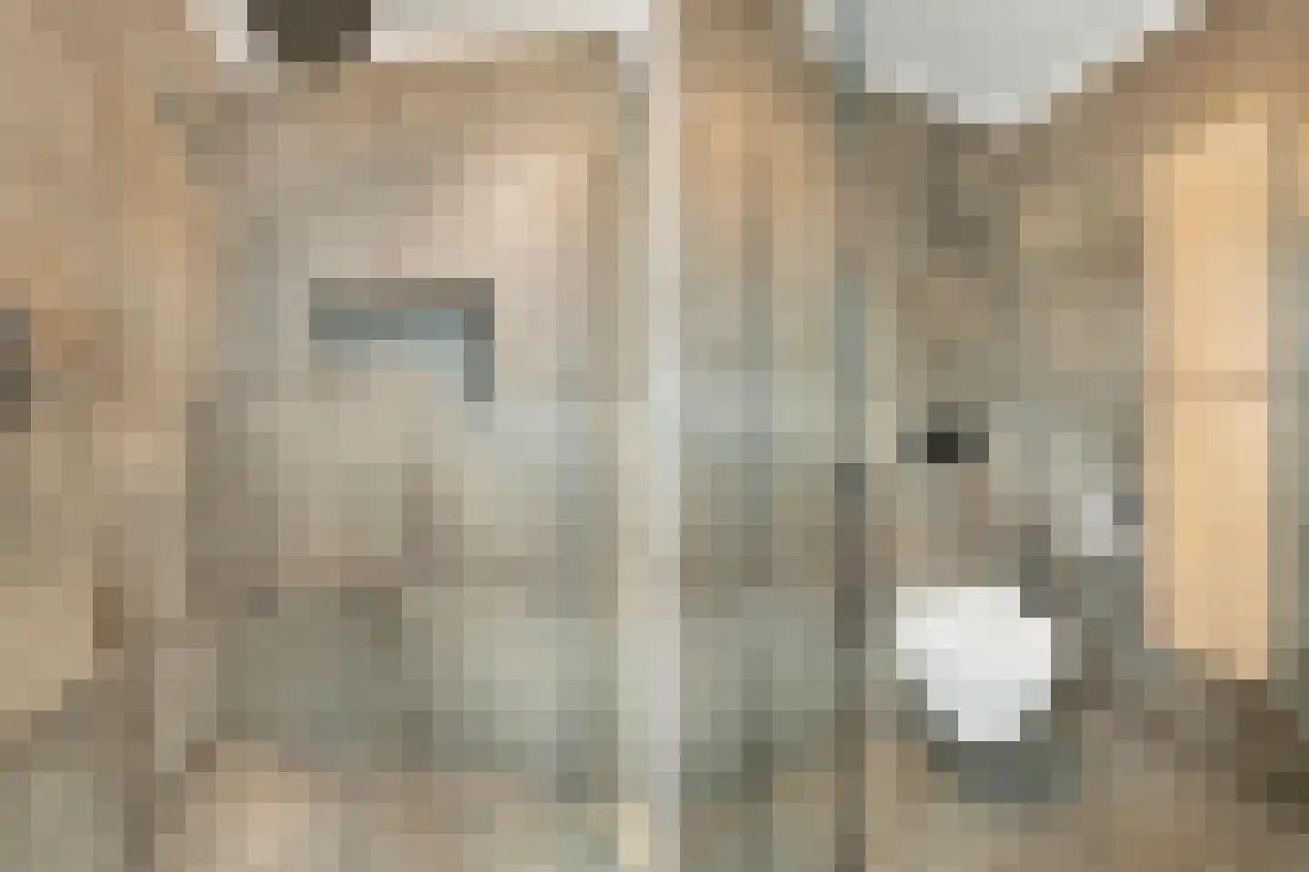 Schaapsdrift 212 Zevenaar thumbnail 33