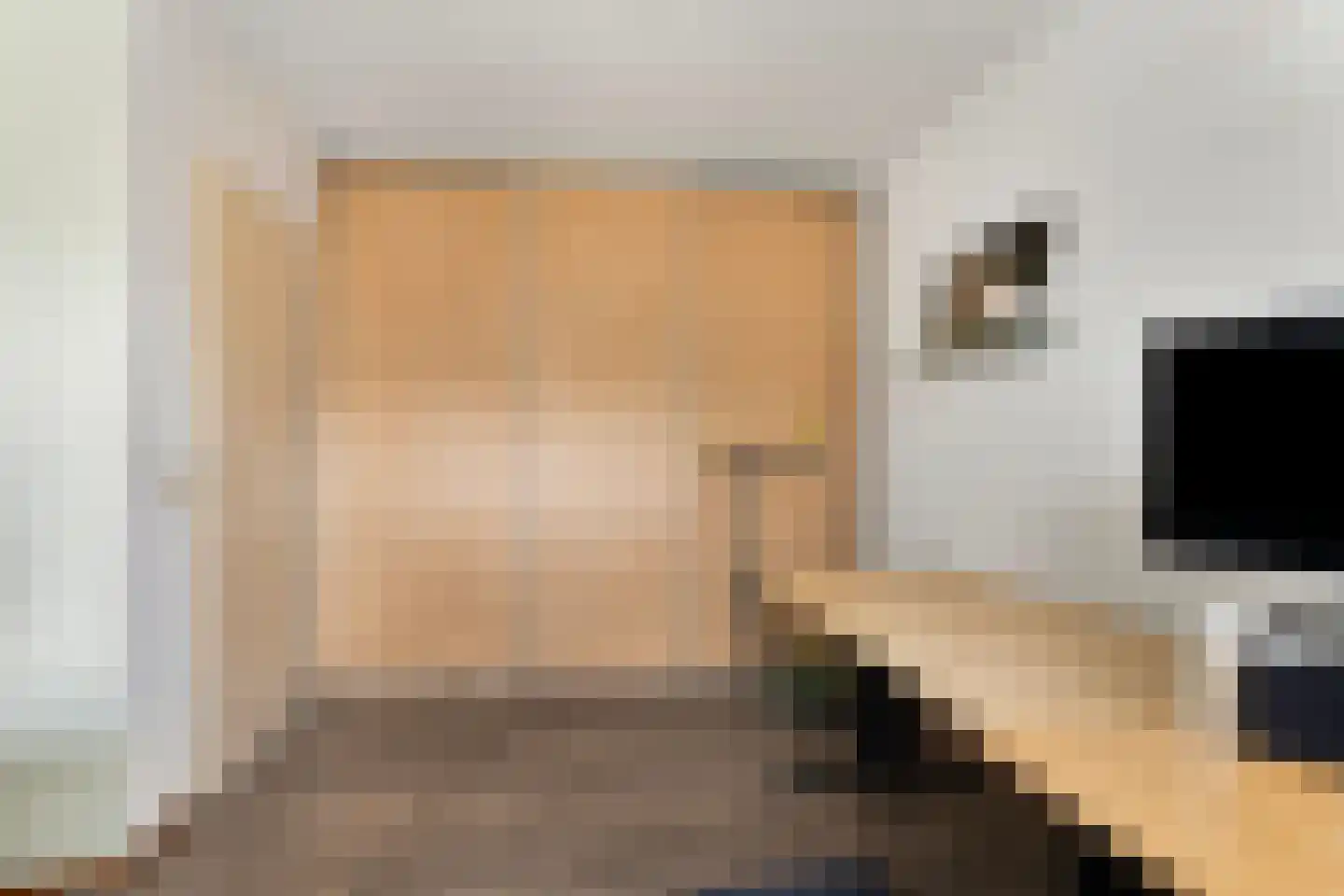 Schaapsdrift 212 Zevenaar thumbnail 37
