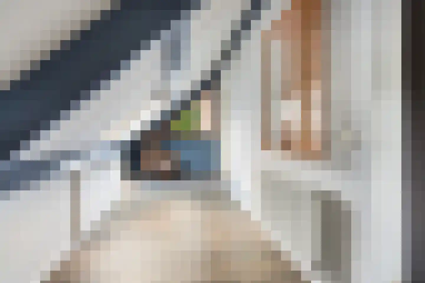 Schaapsdrift 212 Zevenaar thumbnail 39
