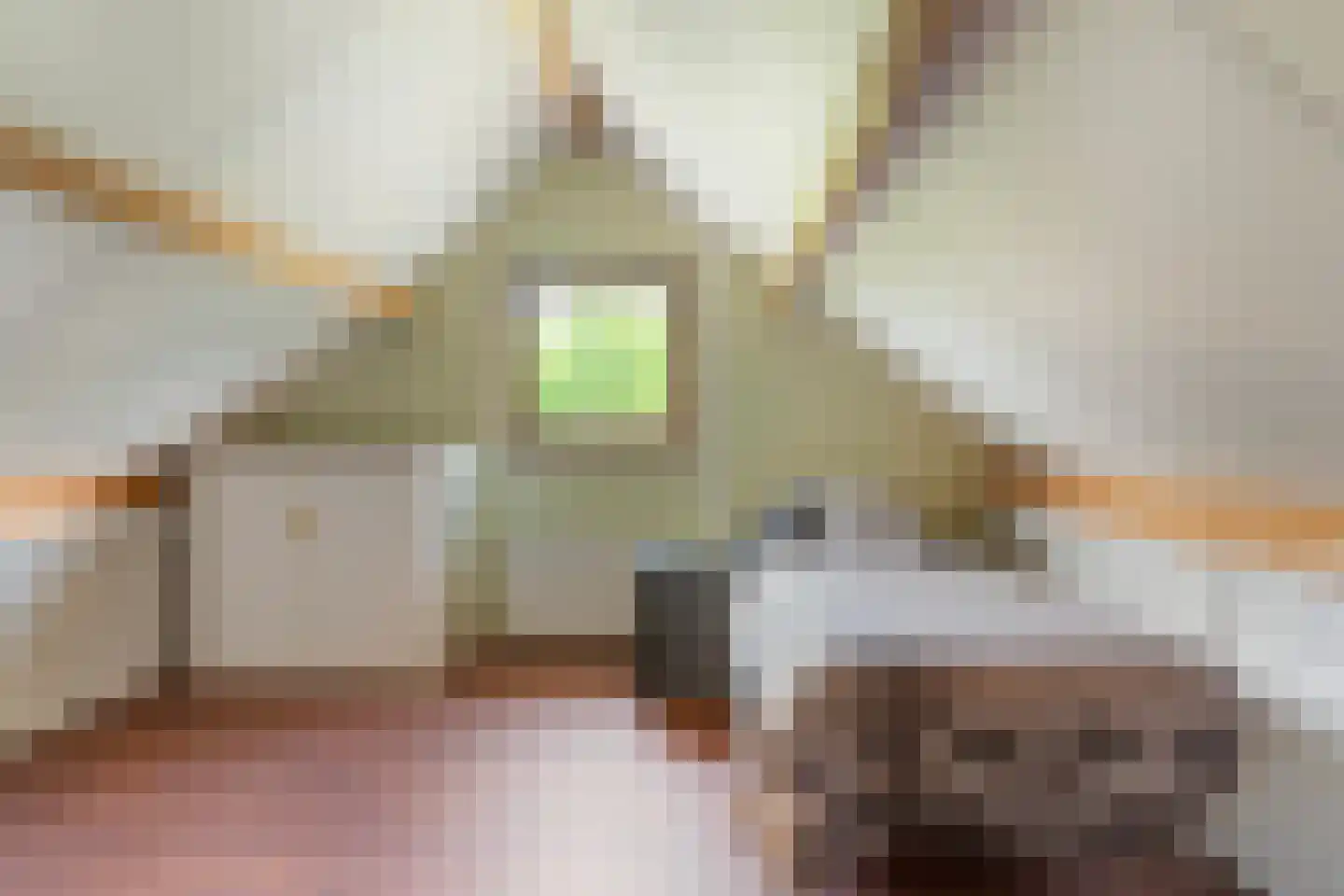 Schaapsdrift 212 Zevenaar thumbnail 41
