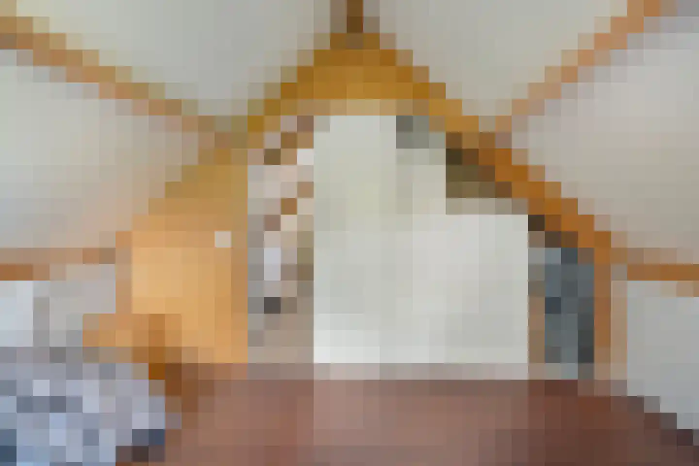 Schaapsdrift 212 Zevenaar thumbnail 42