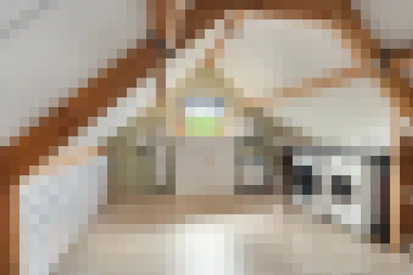 Schaapsdrift 212 Zevenaar thumbnail 43