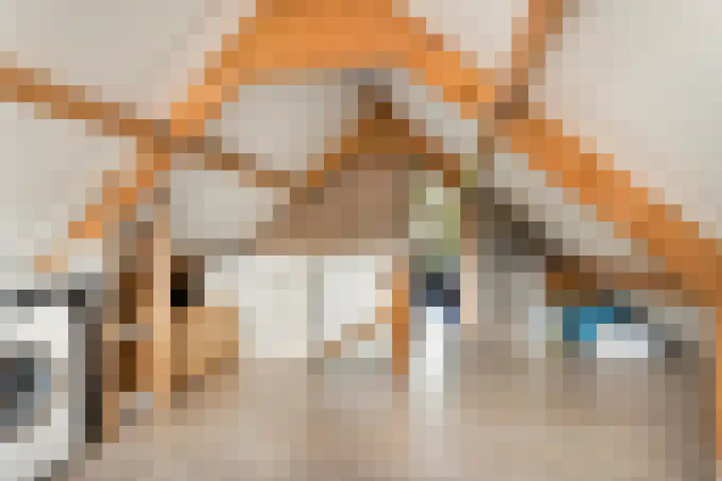 Schaapsdrift 212 Zevenaar thumbnail 44