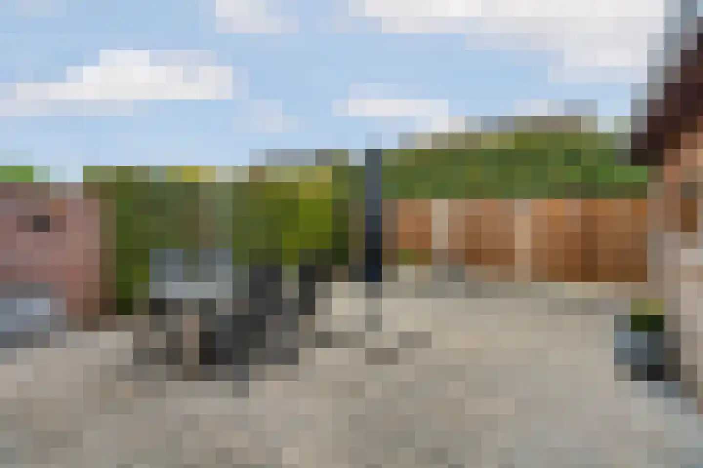 Schaapsdrift 212 Zevenaar thumbnail 46