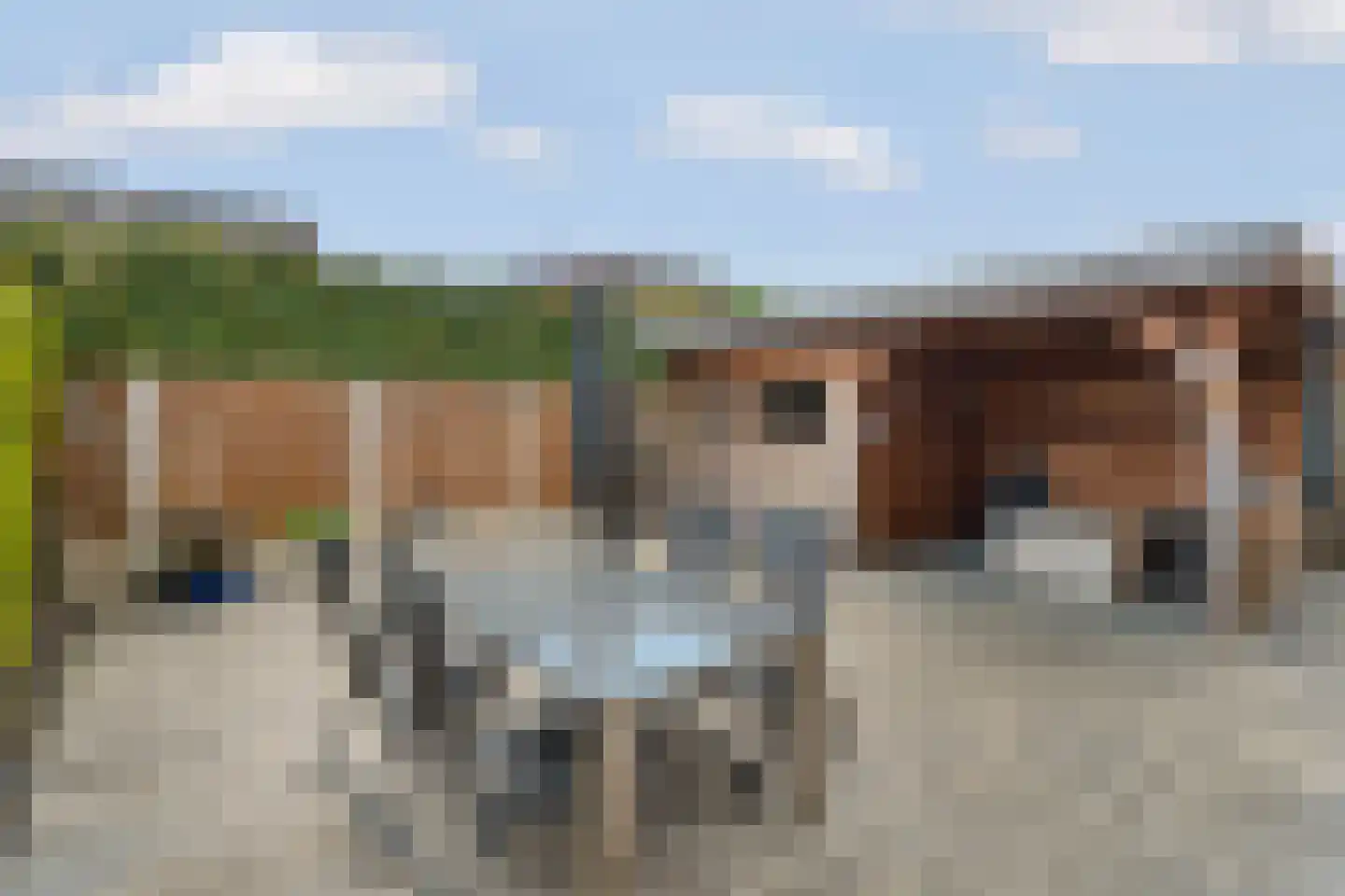 Schaapsdrift 212 Zevenaar thumbnail 52