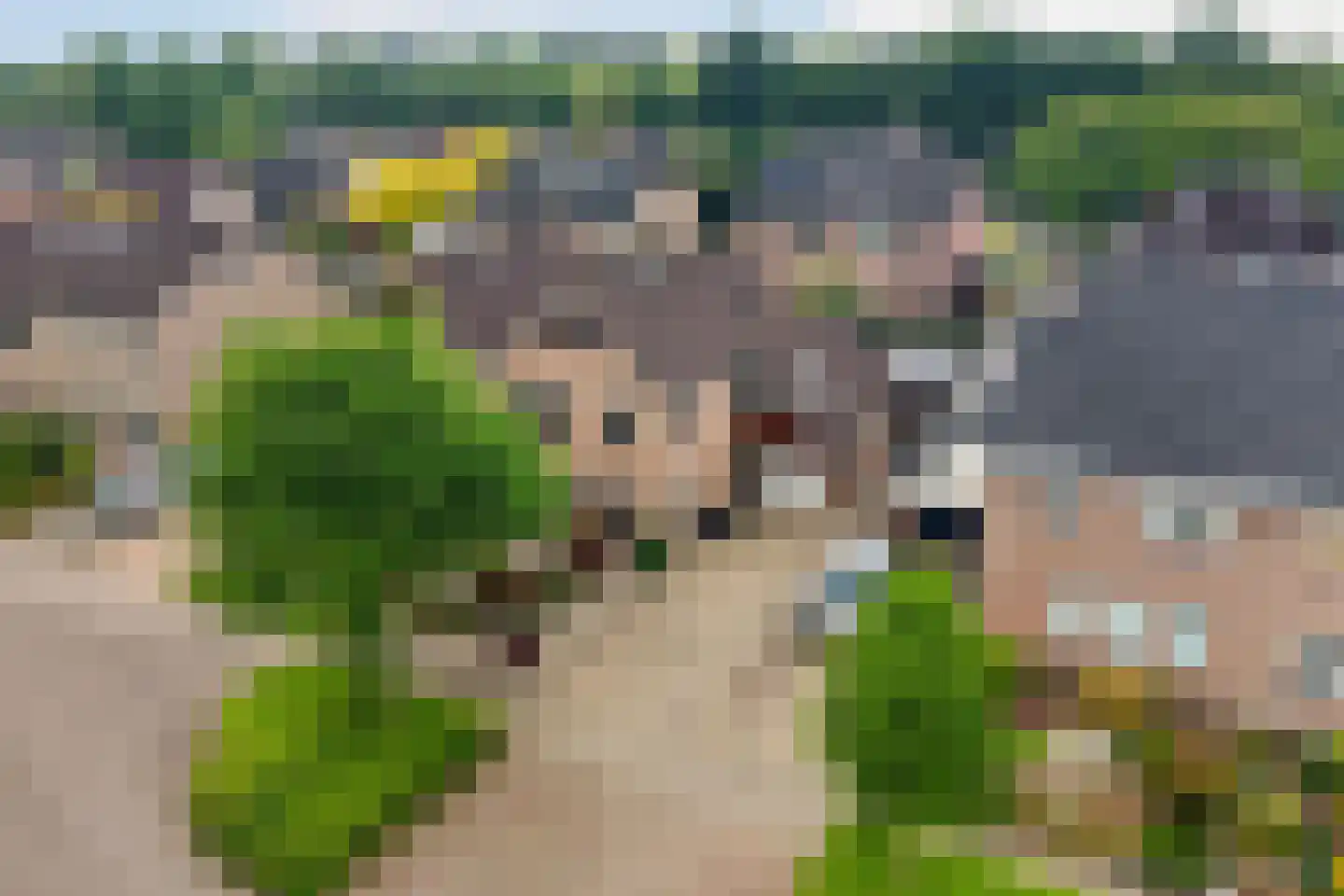 Schaapsdrift 212 Zevenaar thumbnail 56
