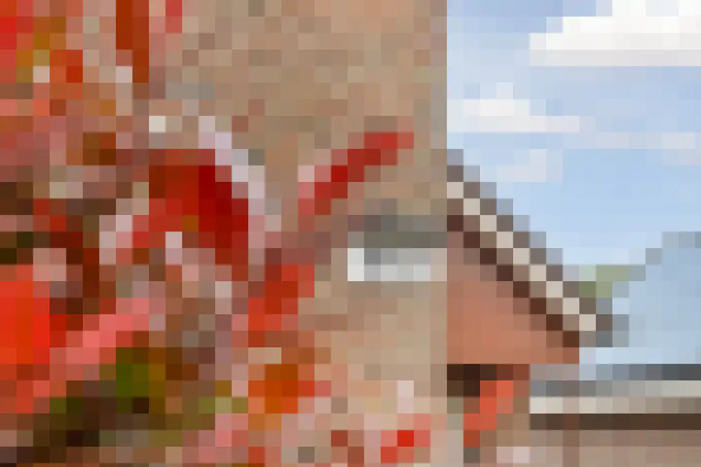 Schaapsdrift 212 Zevenaar thumbnail 7