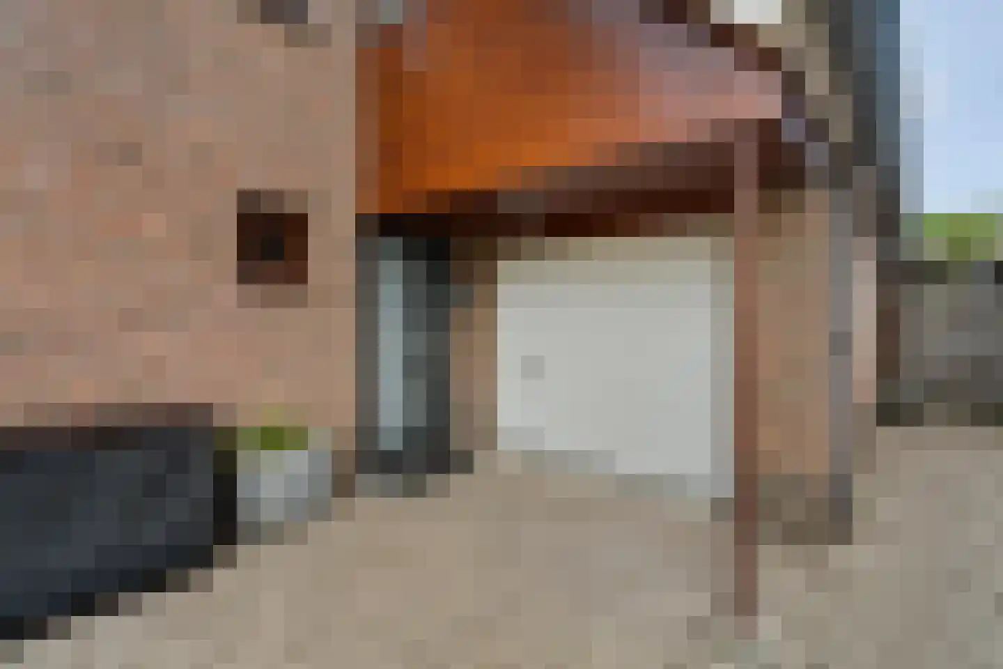 Schaapsdrift 212 Zevenaar thumbnail 8