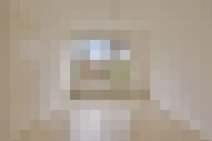 Schaapsdrift 233 Zevenaar thumbnail 11