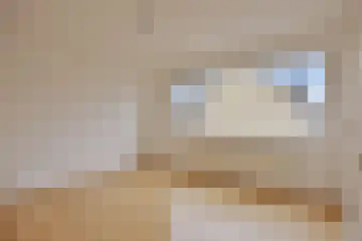 Schaapsdrift 233 Zevenaar thumbnail 14