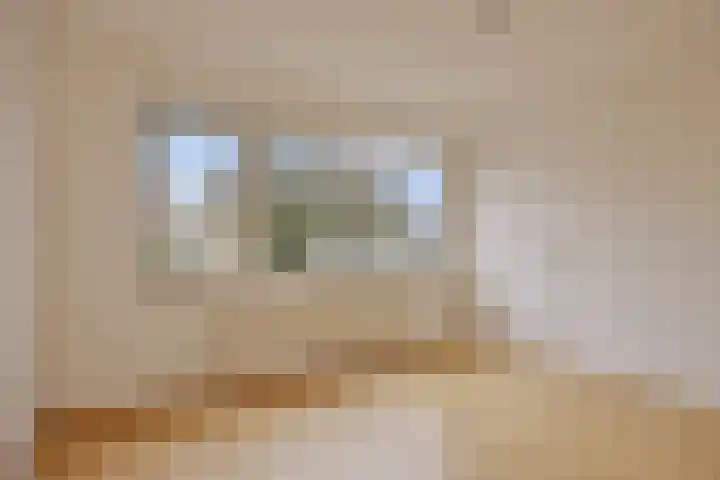 Schaapsdrift 233 Zevenaar thumbnail 15