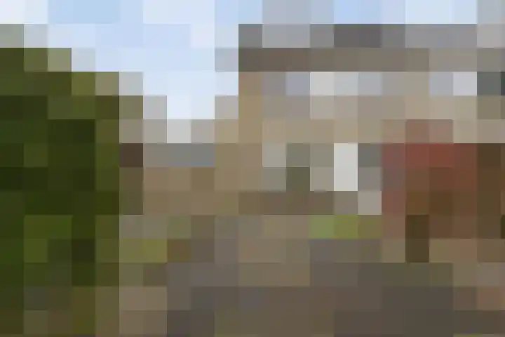 Schaapsdrift 233 Zevenaar thumbnail 21