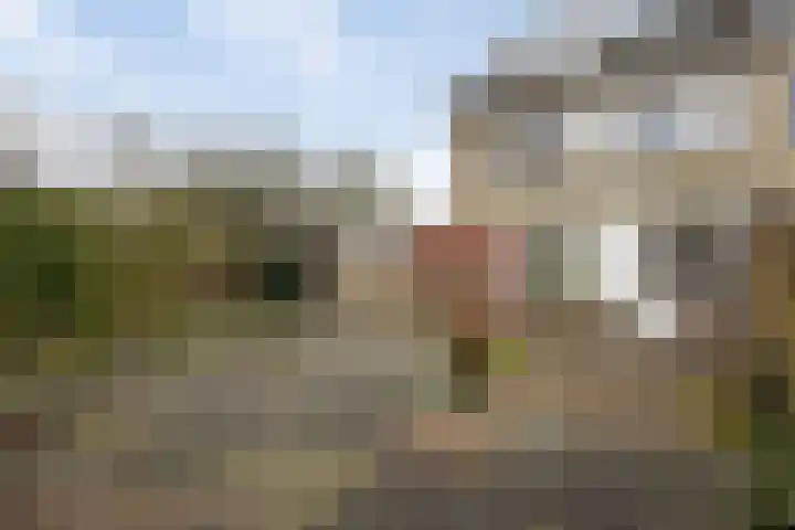 Schaapsdrift 233 Zevenaar thumbnail 22