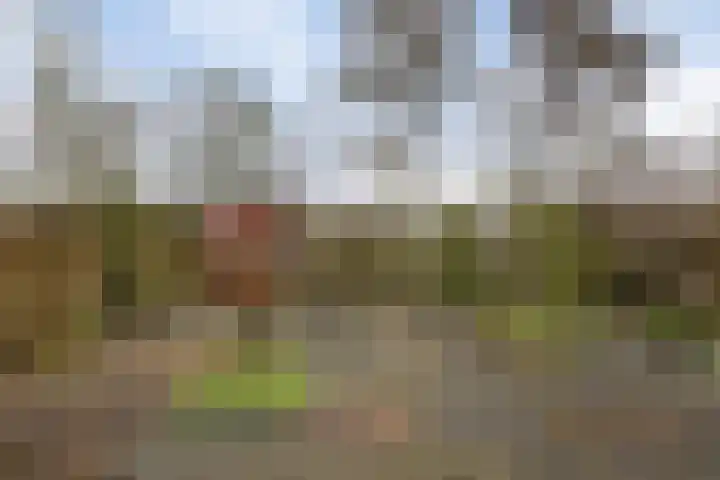 Schaapsdrift 233 Zevenaar thumbnail 23