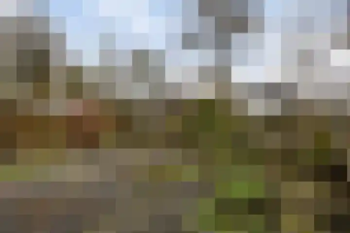 Schaapsdrift 233 Zevenaar thumbnail 25