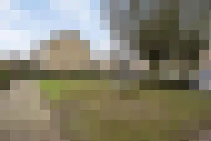 Schaapsdrift 233 Zevenaar thumbnail 30