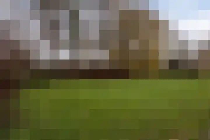 Schaapsdrift 233 Zevenaar thumbnail 31