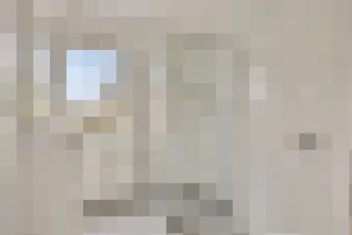Schaapsdrift 233 Zevenaar thumbnail 4
