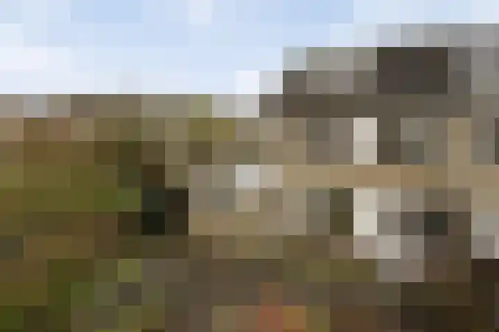 Schaapsdrift 233 Zevenaar thumbnail 5