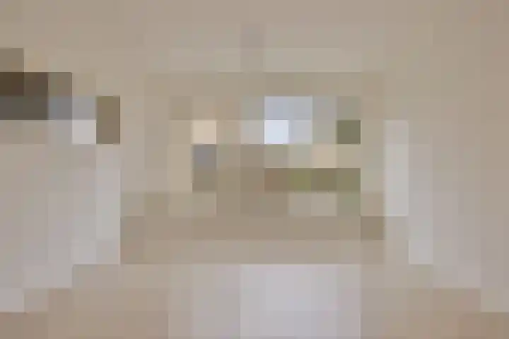 Schaapsdrift 233 Zevenaar thumbnail 8