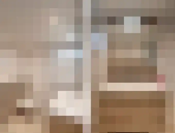 Schaapsdrift 249 Zevenaar thumbnail 20