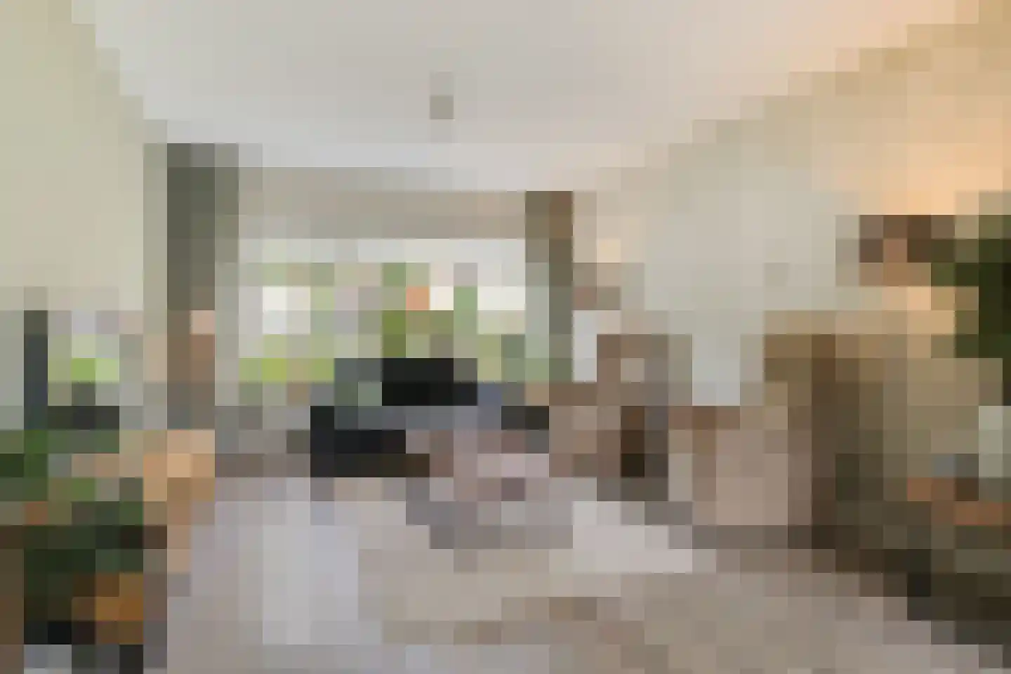 Schaapsdrift 263 Zevenaar thumbnail 13