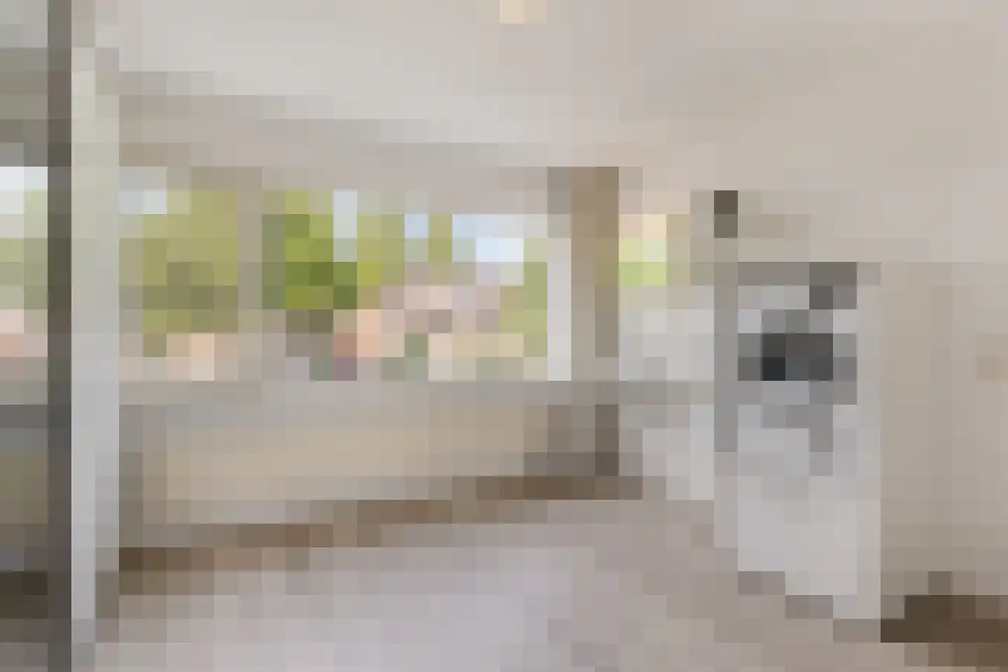 Schaapsdrift 263 Zevenaar thumbnail 31