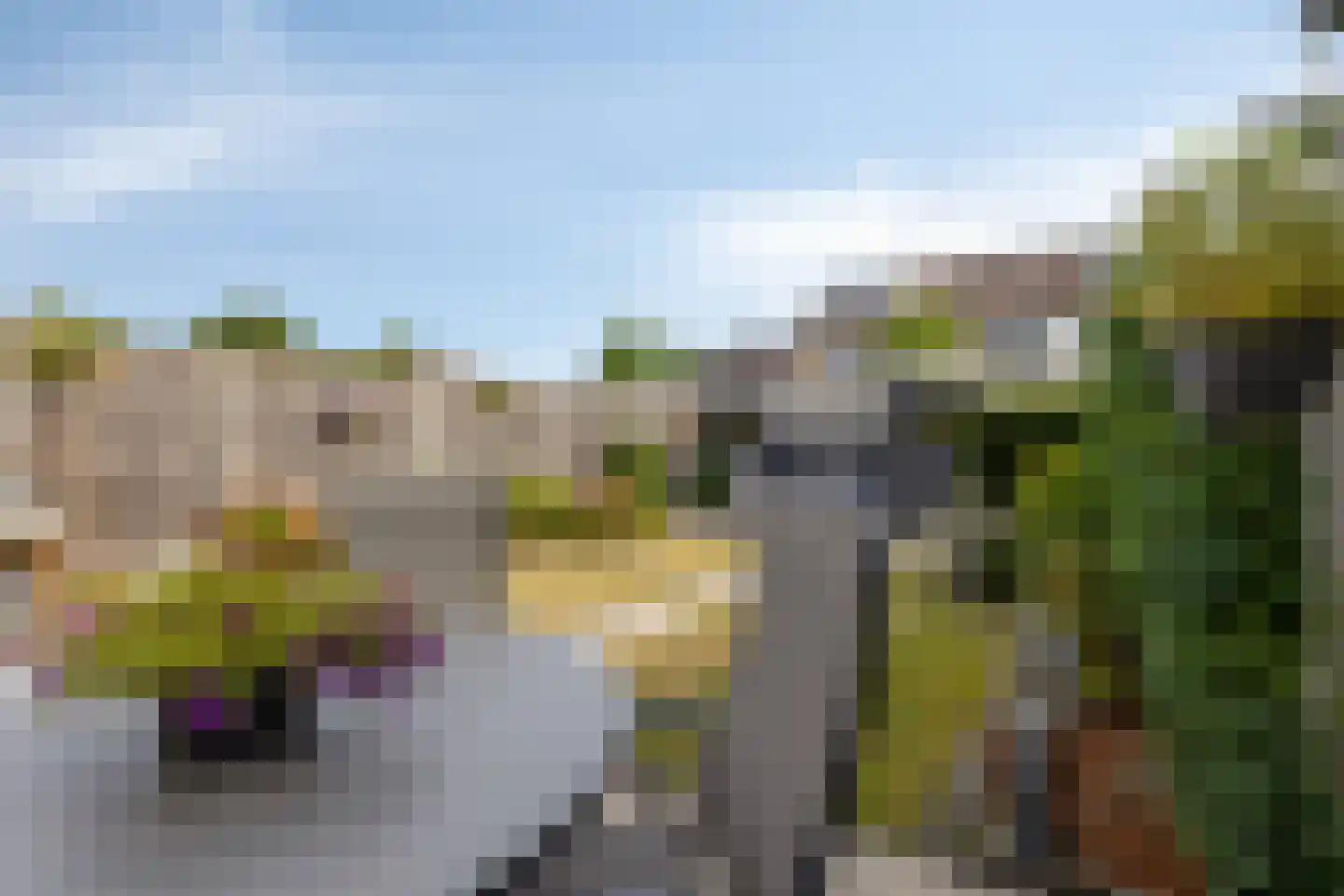 Schaapsdrift 263 Zevenaar thumbnail 39