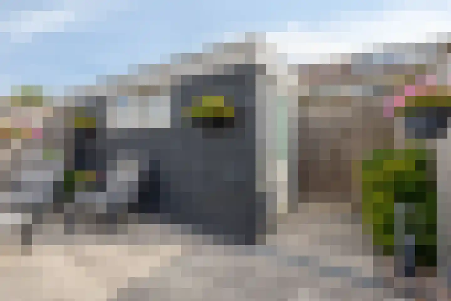 Schaapsdrift 263 Zevenaar thumbnail 42