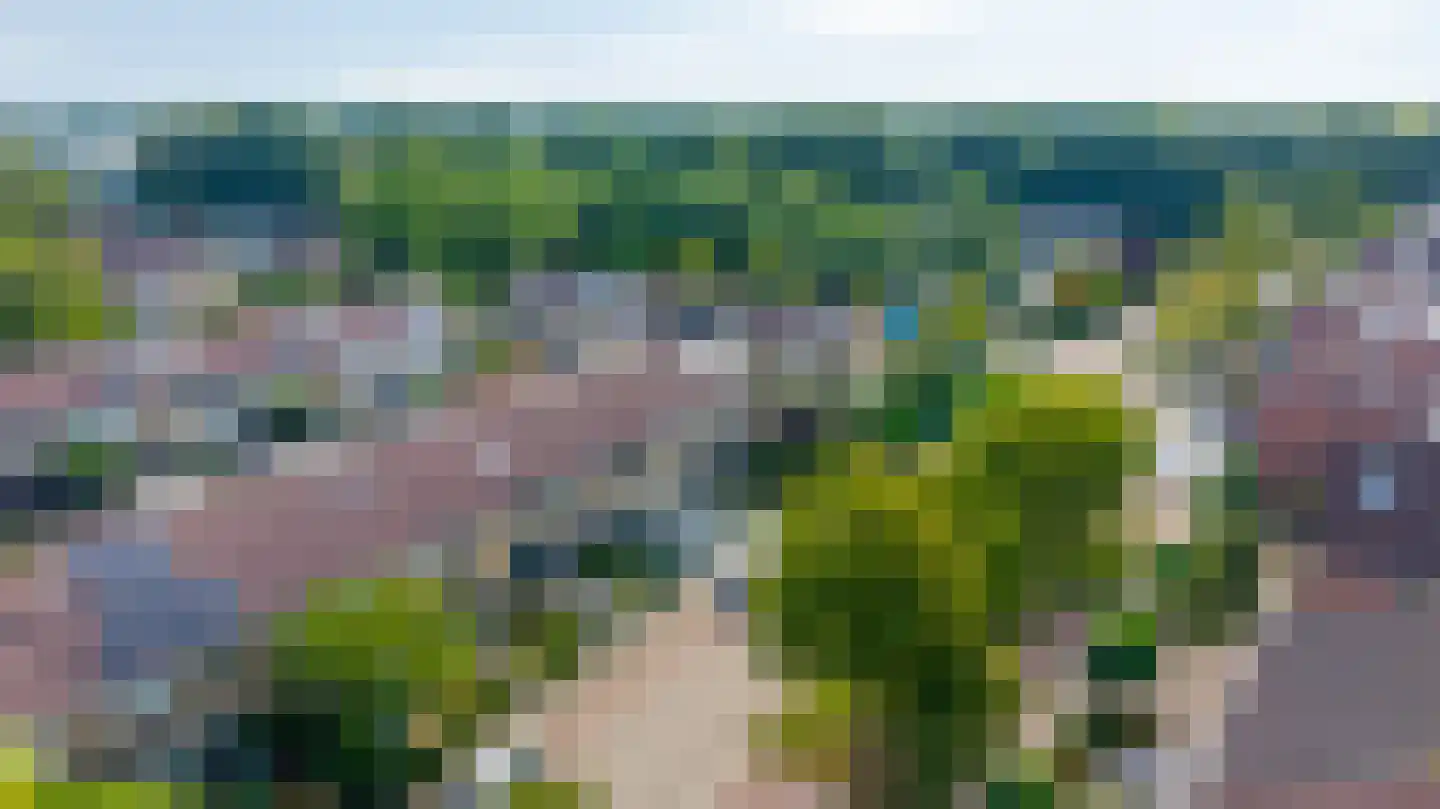 Schaapsdrift 263 Zevenaar thumbnail 55
