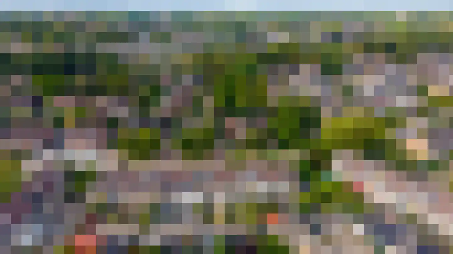 Schaapsdrift 263 Zevenaar thumbnail 6