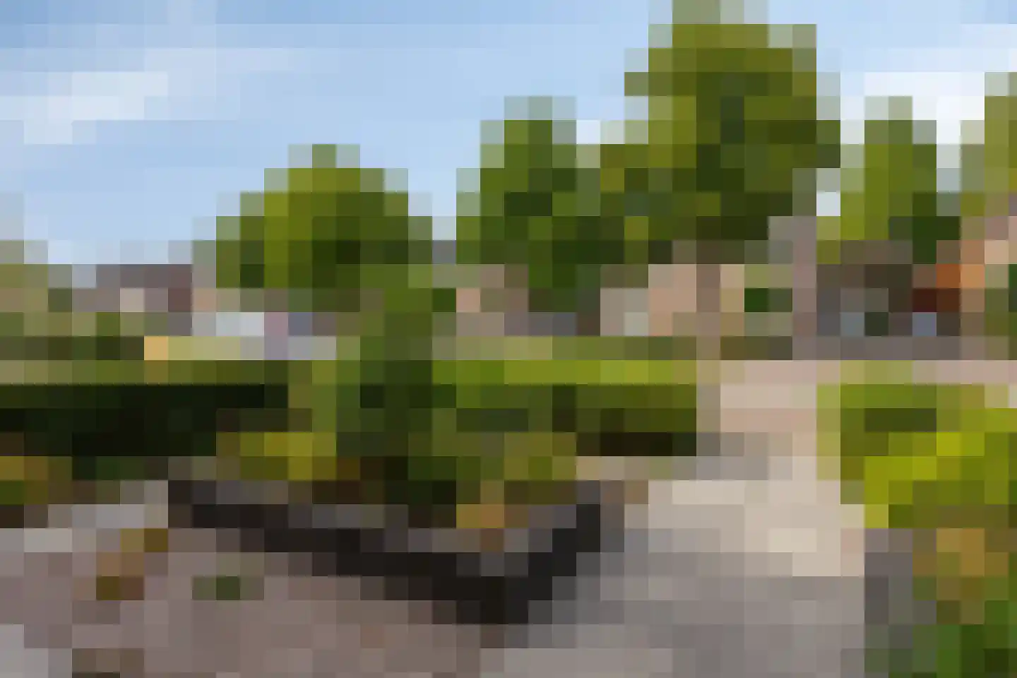 Schaapsdrift 263 Zevenaar thumbnail 9