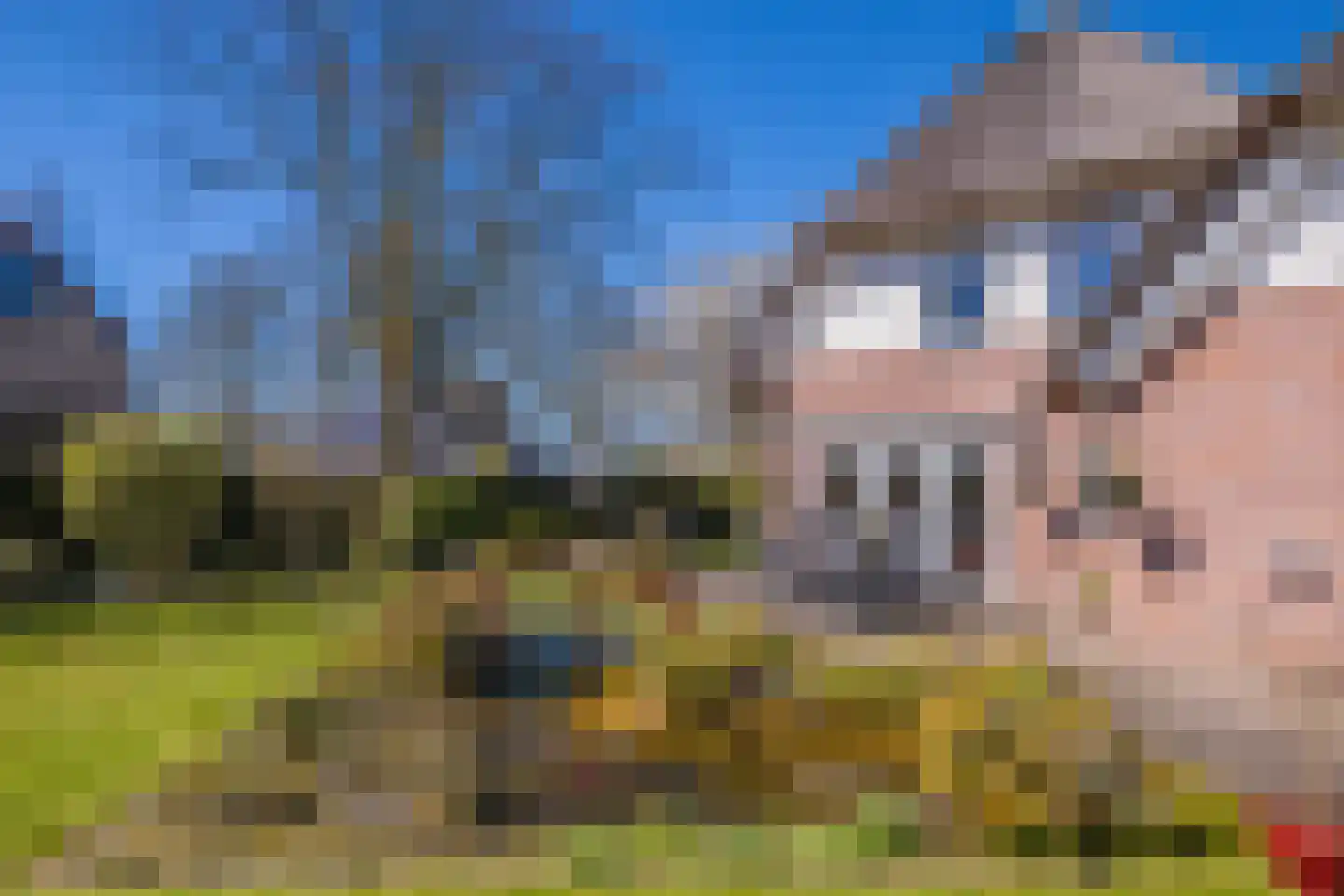 Schaapsdrift 275 Zevenaar thumbnail 26