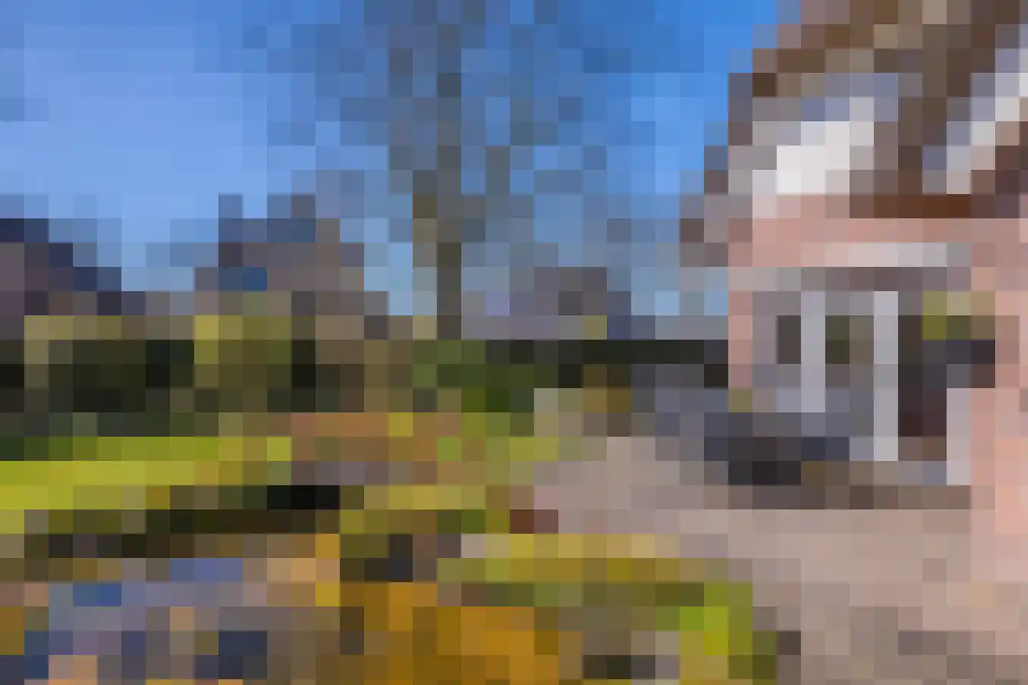 Schaapsdrift 275 Zevenaar thumbnail 27