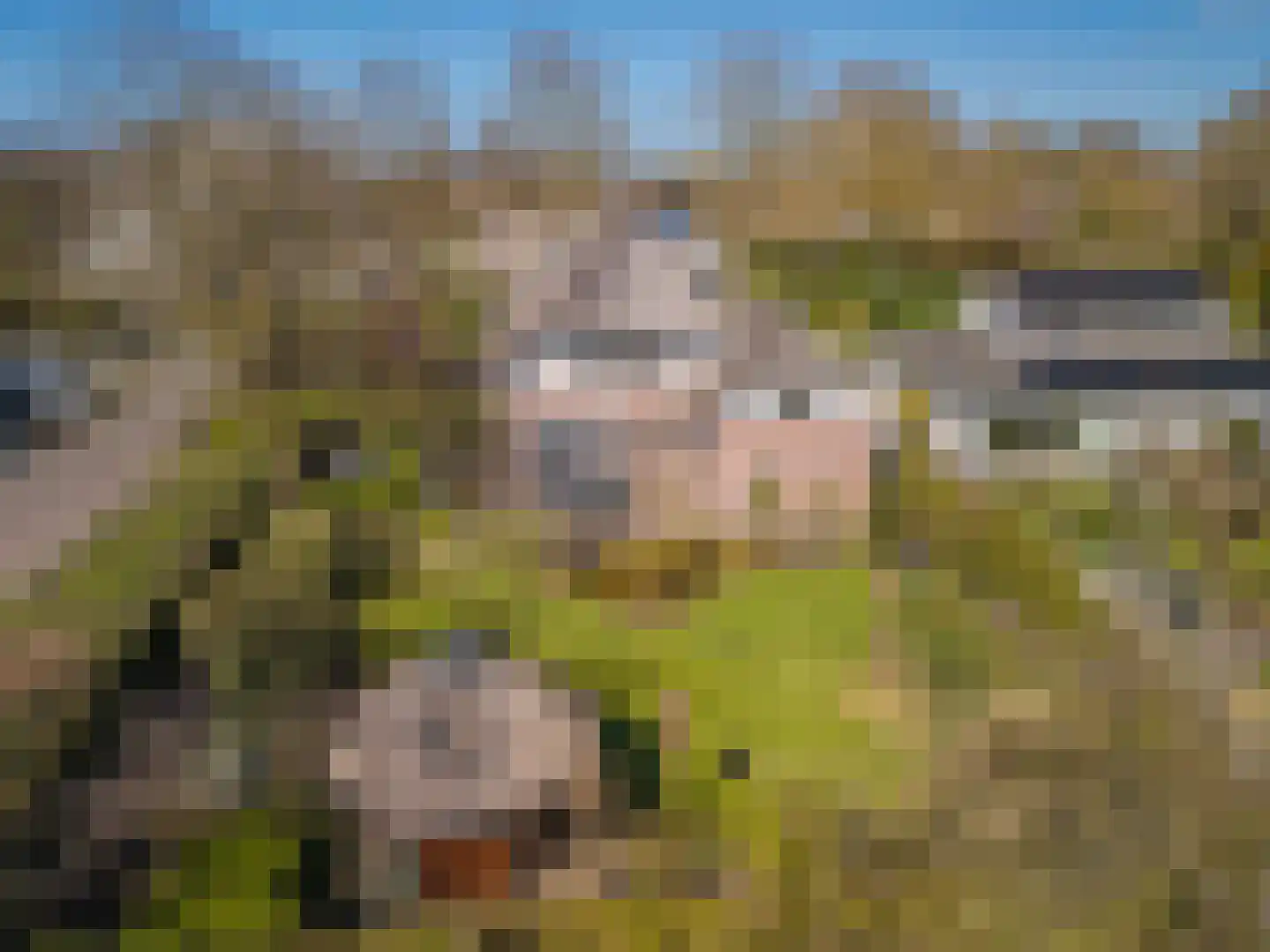 Schaapsdrift 275 Zevenaar thumbnail 47