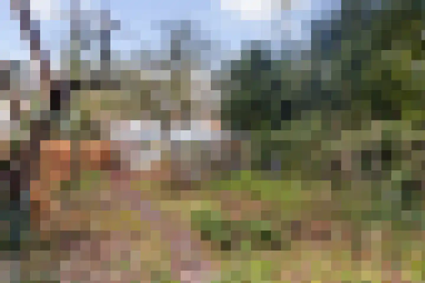 Schaapsdrift 3 Arnhem thumbnail 18