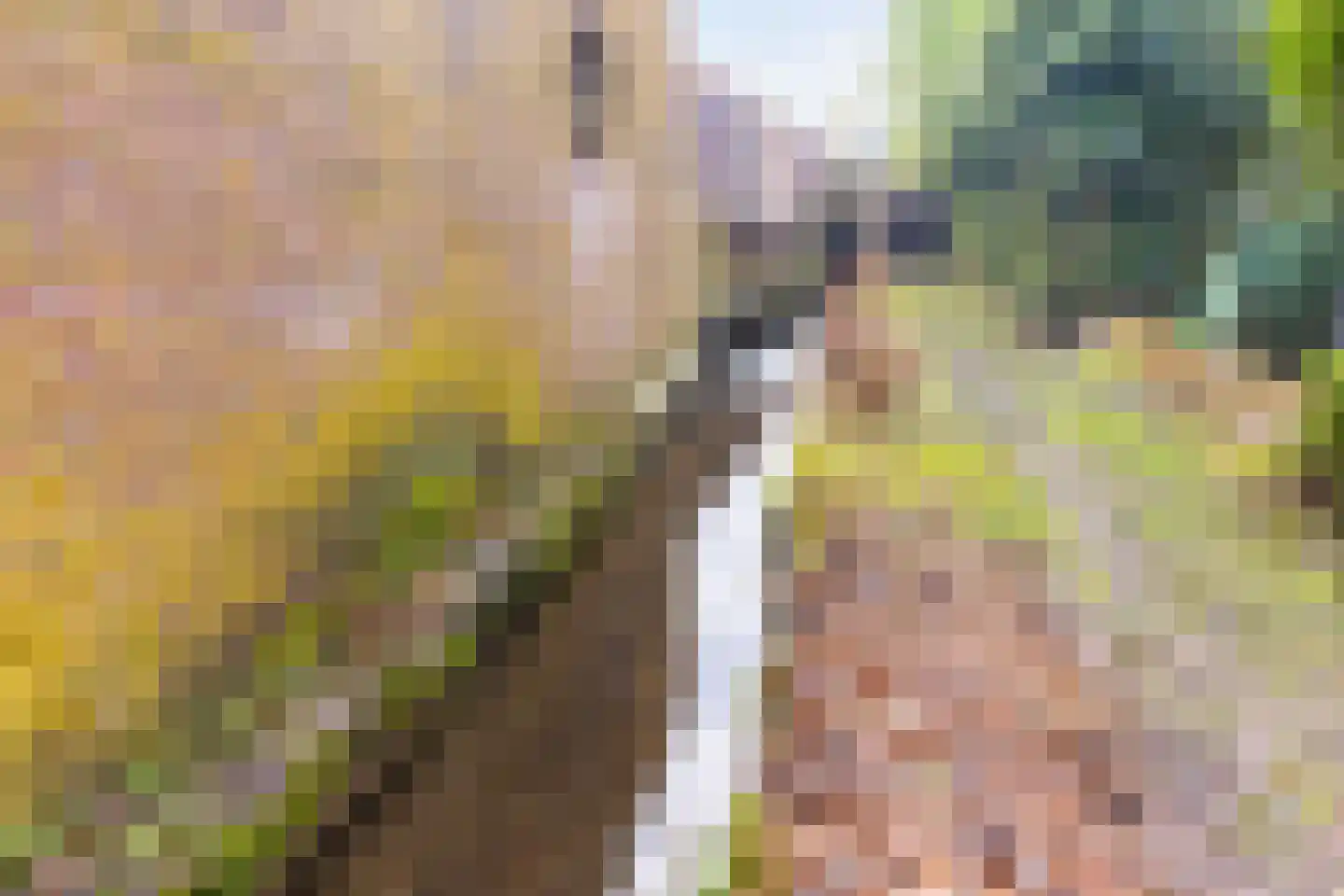 Schaapsdrift 3 Arnhem thumbnail 19