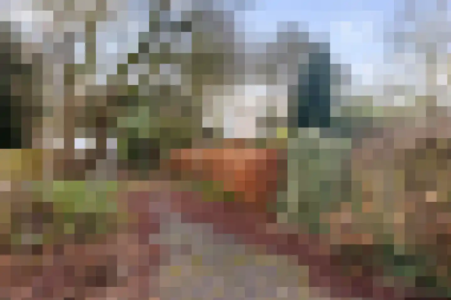 Schaapsdrift 3 Arnhem thumbnail 22