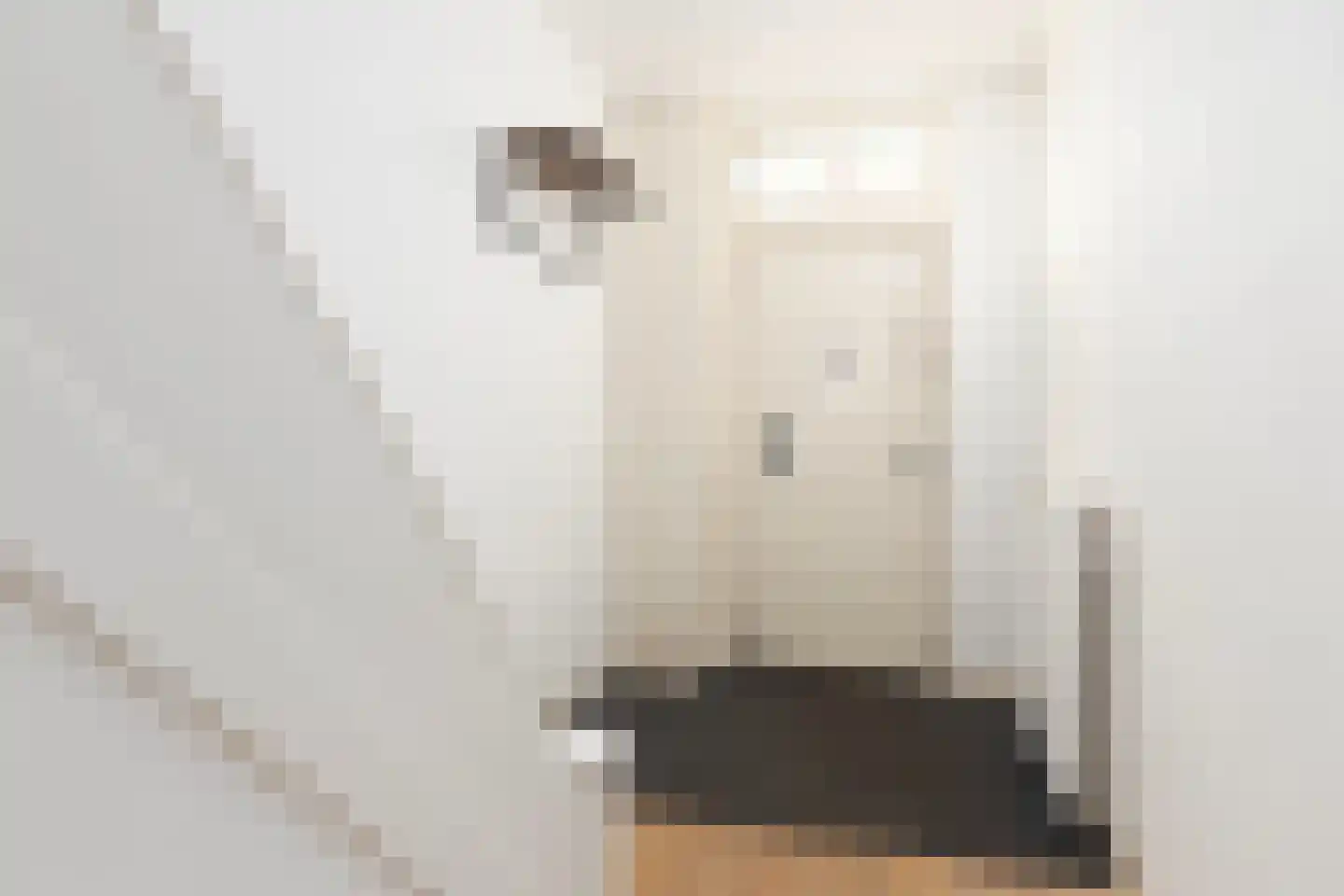Schaapsdrift 3 Arnhem thumbnail 6