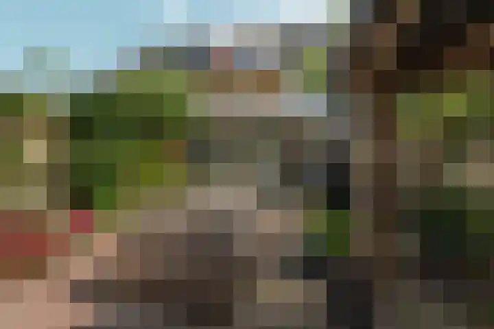 Schaapsdrift 50 Arnhem thumbnail 37