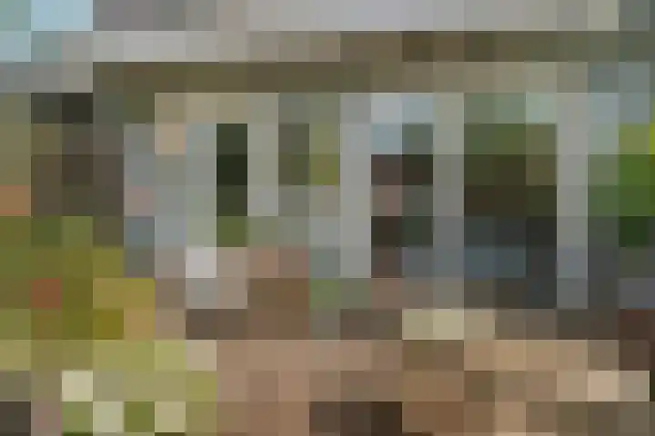 Schaapsdrift 50 Arnhem thumbnail 38