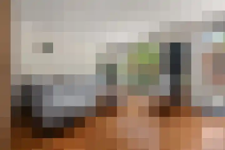 Schaapsdrift 50 Arnhem thumbnail 4