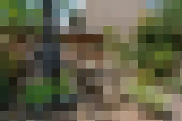 Schaapsdrift 50 Arnhem thumbnail 41